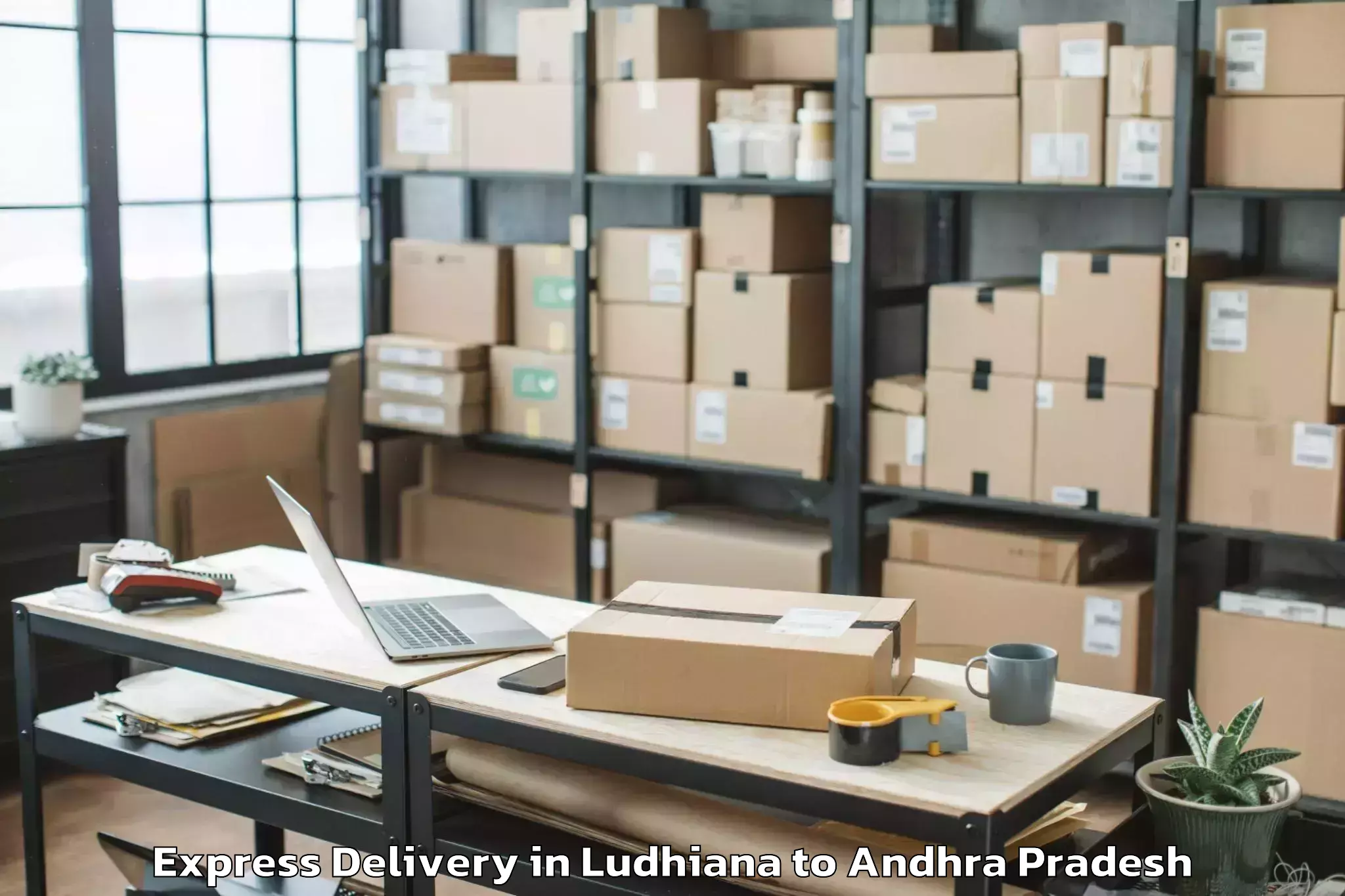 Get Ludhiana to Parvathipuram Express Delivery